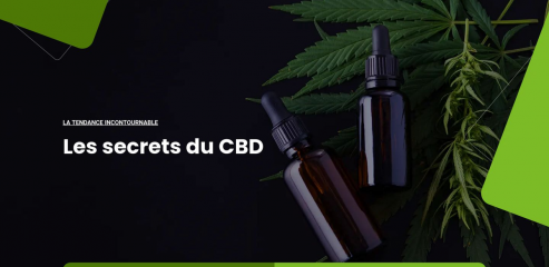 https://www.cbd-business.net